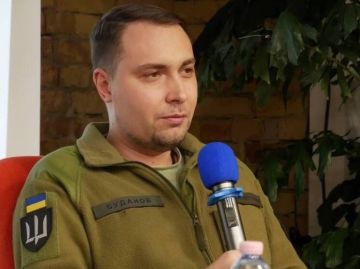 Зеленский поручил Буданову* остановить конфликт с Россией