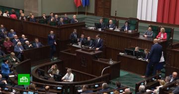 ������ ������� ����� ������������ � ������� ���������� ������������ ���������