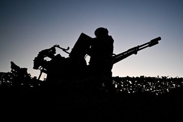 Губернатор Ленинградской области сообщил о 30 сбитых дронах над регионом