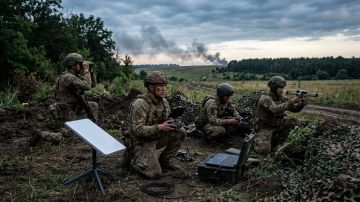 ВСУ уничтожат себя изнутри. А ТЦК помогут: Эксперт объяснил, в чём суть