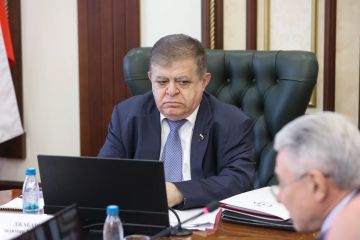 �������� ��������: ������������ �������� � ������ ����� ������������ ���������������� �������� ��� ������� �������������� �����������-������������ ��������