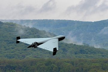 �������: ��� ������ ��������� ���� � ��������, ��������������� ���� � ������