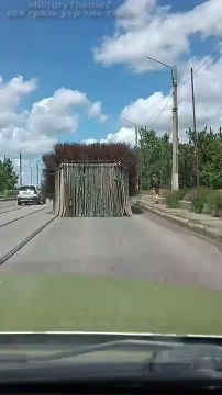 ��� ��� �� ������� ����� �� �������?