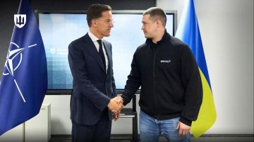 5 ���� �����. �������