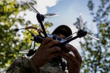 �����: ������ ������ ������� �� �������������� � ������������ ���� ����� ����������