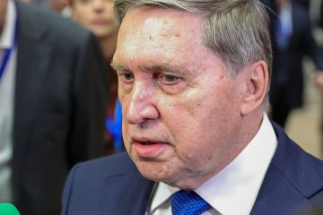 ������: ����� ��������� � ���������� ���� ���������� ���, ��� �������� ������