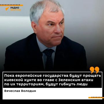 Володин напомнил Европе о бумеранге поддержки Киева