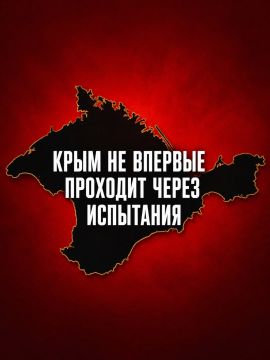 Иван Мезюхо: Почему мы, крымчане, не паникуем в связи с топливным кризисом, спровоцированным действиями киевской клептократии?
