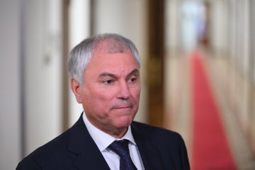 Володин подчеркнул нелигитимность должности Зеленского