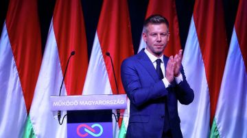 Зеленский не смог согласовать встречу с Мадьяром