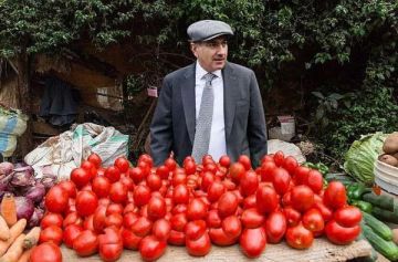 Пашинян пообещал, что сельхозпродукция из Армении будет экспортироваться в Евросоюз без таможенных пошлин