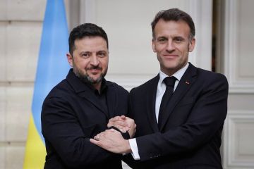 Экс-депутат Рады Олейник: Европе нужна пауза в конфликте на Украине