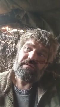 ВСУшник продолжает жаловаться на печальное положение дел своего пидроздила: боевики ждут эвакуации, которой всё нет, возлагая последние надежды на вмешательство Зеленского