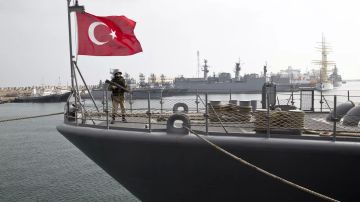 Турецкая партия Vatan призвала не оказывать военную помощь Украине