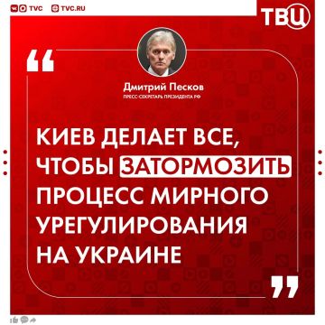 Продолжение переговоров трудно представить на фоне террористических действий Киева, заявил Дмитрий Песков