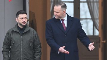 Туск призвал Навроцкого и Зеленского встретиться после скандала с УПА*