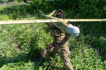 Песков: Действия ВСУ осложняют переход к мирному урегулированию конфликта