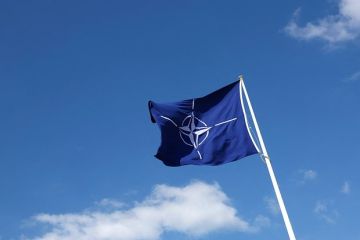 Weltwoche: НАТО должна защищать своих граждан, а не тратить деньги на поддержку Украины
