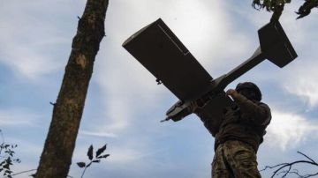 Остались считаные дни: эксперт о причинах ужесточения атак ВСУ на Крым