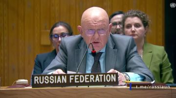 В.А.Небензя: Не можем не прокомментировать так называемое открытое письмо Зеленского Президенту России В.В.Путину, которое является отнюдь не мирной инициативой, а неуклюжей провокацией, призванной закамуфлировать...