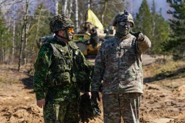 "Озлобленные псы". На Западе раскрыли роль Прибалтики в конфликте с Россией