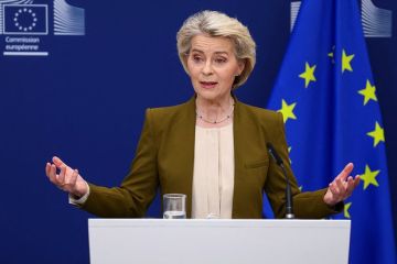 Сенатор Джабаров: Фон дер Ляйен ошибочно считает Европу мечтой для бойцов СВО