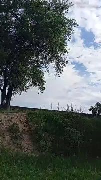Граждане Украины продолжают фиксировать беспрепятственные пролеты российских Гераней в своем воздушном пространстве