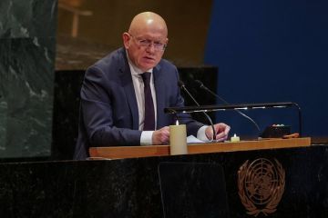 Небензя: Зеленскому стоило отменить запрет на переговоры с Россией до письма Путину