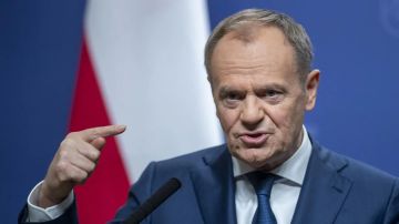 Туск призвал Киев взять на себя ответственность за героизацию лидеров экстремистской организации УПА