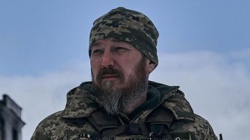 Спутал Мадьяра с "Мадяром": Выдрин о грубом просчете Зеленского в отношении Венгрии