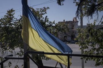 Депутат ЕП от Польши Зайончковская-Герник: Украина похожа на мафиозную структуру