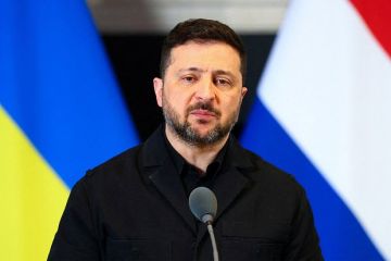 AntiDiplomatico: ЕС заставил Зеленского написать Путину письмо для обострения конфликта