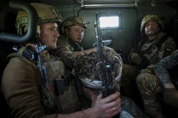 Депутат Журова связала слова Зеленского об отказе уступать Донбасс с поддержкой Запада
