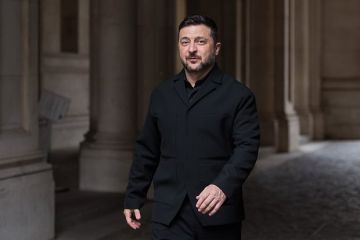 Журова о визите Зеленского в Эстонию: Киеву надо успокоить народ, что страна движется к ЕС