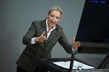 Лидер АдГ Вайдель: Украина должна объяснить свою роль в подрывах «Северных потоков»