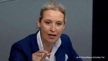 Украина должна объяснить свою роль в подрывах "Северных потоков" и выплатить компенсацию ФРГ, заявила сопредседатель партии "Альтернатива для Германии" Вайдель
