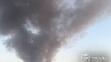 В Харькове с утра было нанесено 26 ударов дронами, сообщил гауляйтер Олег Синегубов