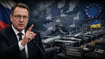 Посол РФ предупредил Европу из-за производства беспилотников для Украины