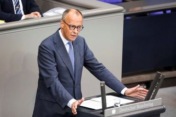 Мерц: Украина не будет участвовать в заседаниях Совета ЕС и Совета министров ЕС