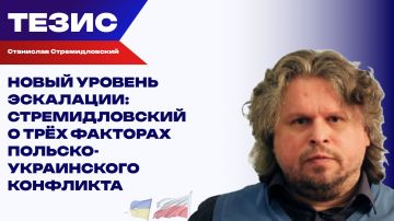 Героизация УПА* лишает Киев денег — Стремидловский о том, как Польша намерена обделить Зеленского