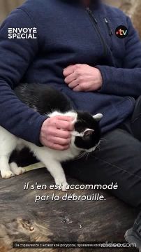 ВОИНЫ, ПОЖЕРТВОВАННЫЕ КИЕВОМ