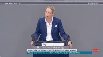 «Вы отправляете миллиарды и миллиарды в Украину, тем самым финансируя затягивание войны, которая должна была закончиться давным-давно. До сих пор вы не требуете от Киева никакой ответственности за разрушение газопровода...