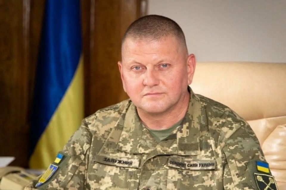 Залужный написал предисловие к мемуарам Джонсона
