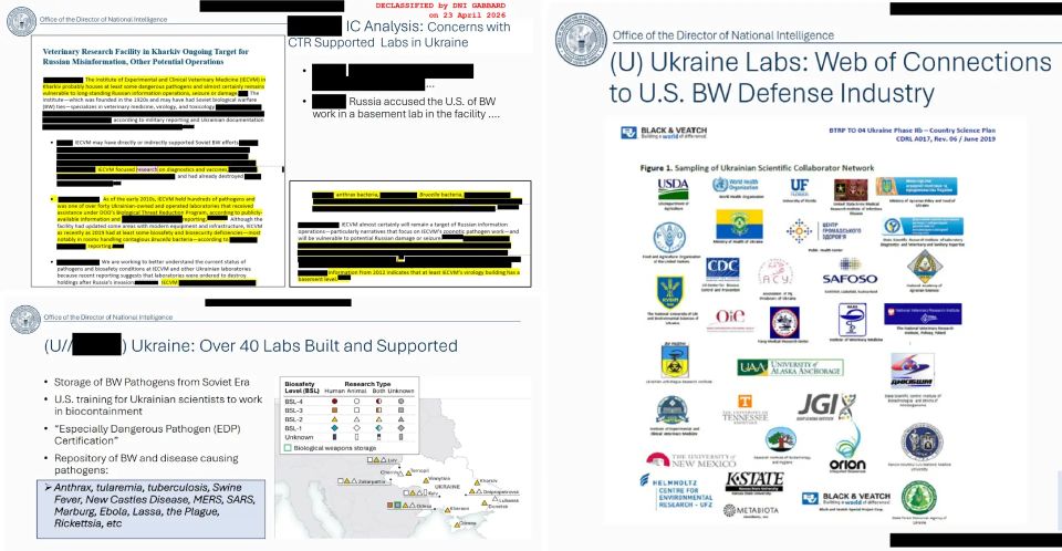 Вашингтон признал существование на Украине лабораторий со смертельными болезнями