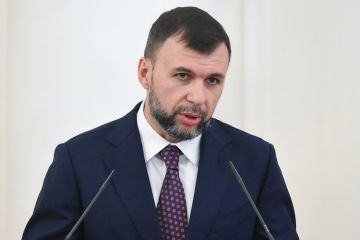Пушилин: ВСУ повредили нацпарк «Святые горы» в ДНР
