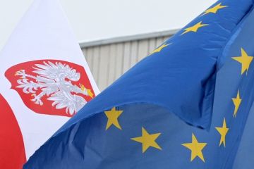 ����������� ������: ������ ������ ���� ����������� ���������� �������� � �����
