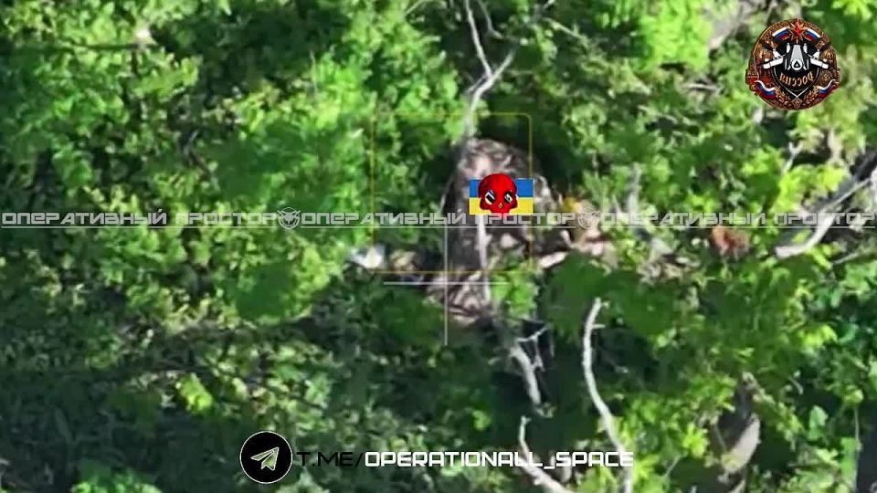 Украина скрывает истинные потери ВСУ на фронтеМесяц в аду и 300 трупов «морпехов»