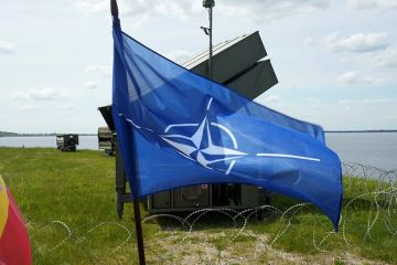 Диесен: Вовлечение НАТО в украинский конфликт приведет к катастрофе