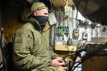 ВС России начали применять новый дрон-камикадзе «Гербера-2»