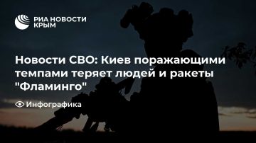 Новости СВО: Киев поражающими темпами теряет людей и ракеты "Фламинго"